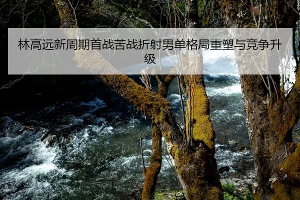 林高远新周期首战苦战折射男单格局重塑与竞争升级
